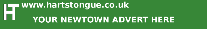 Newtown: Your Advert Here
