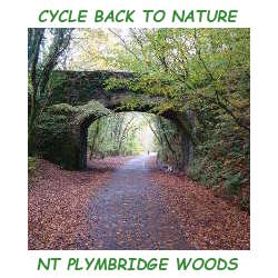 NT Plymbridge Woods