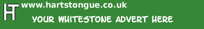 Whitestone: Your Advert Here