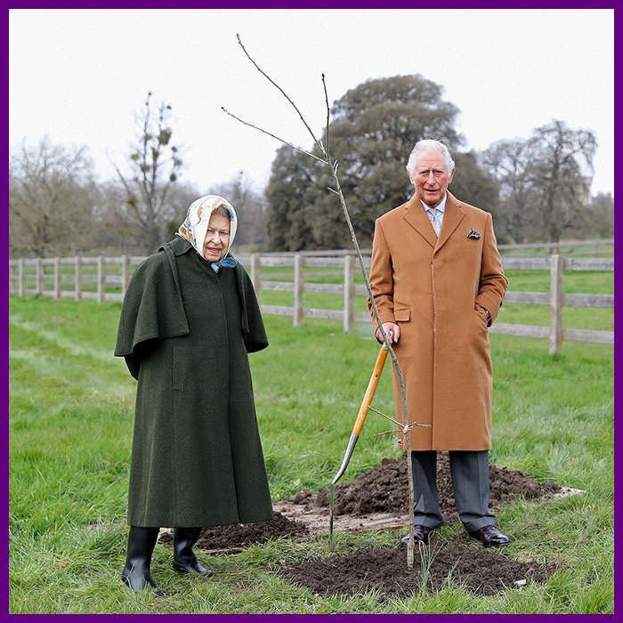 TRH Queen Elizabeth II and the future King Charles III planting the first Jubilee tree in the grounds of Windsor Castle in March